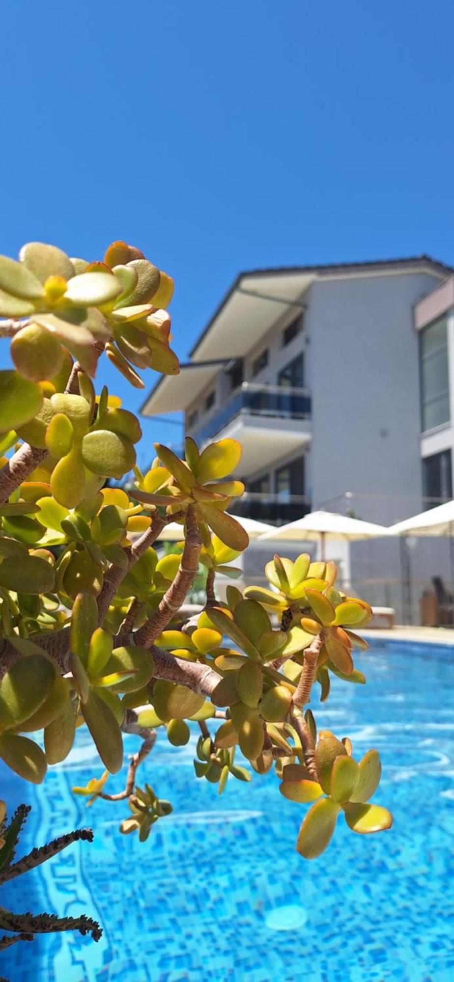 Sarti Thea Hotel Buitenkant foto